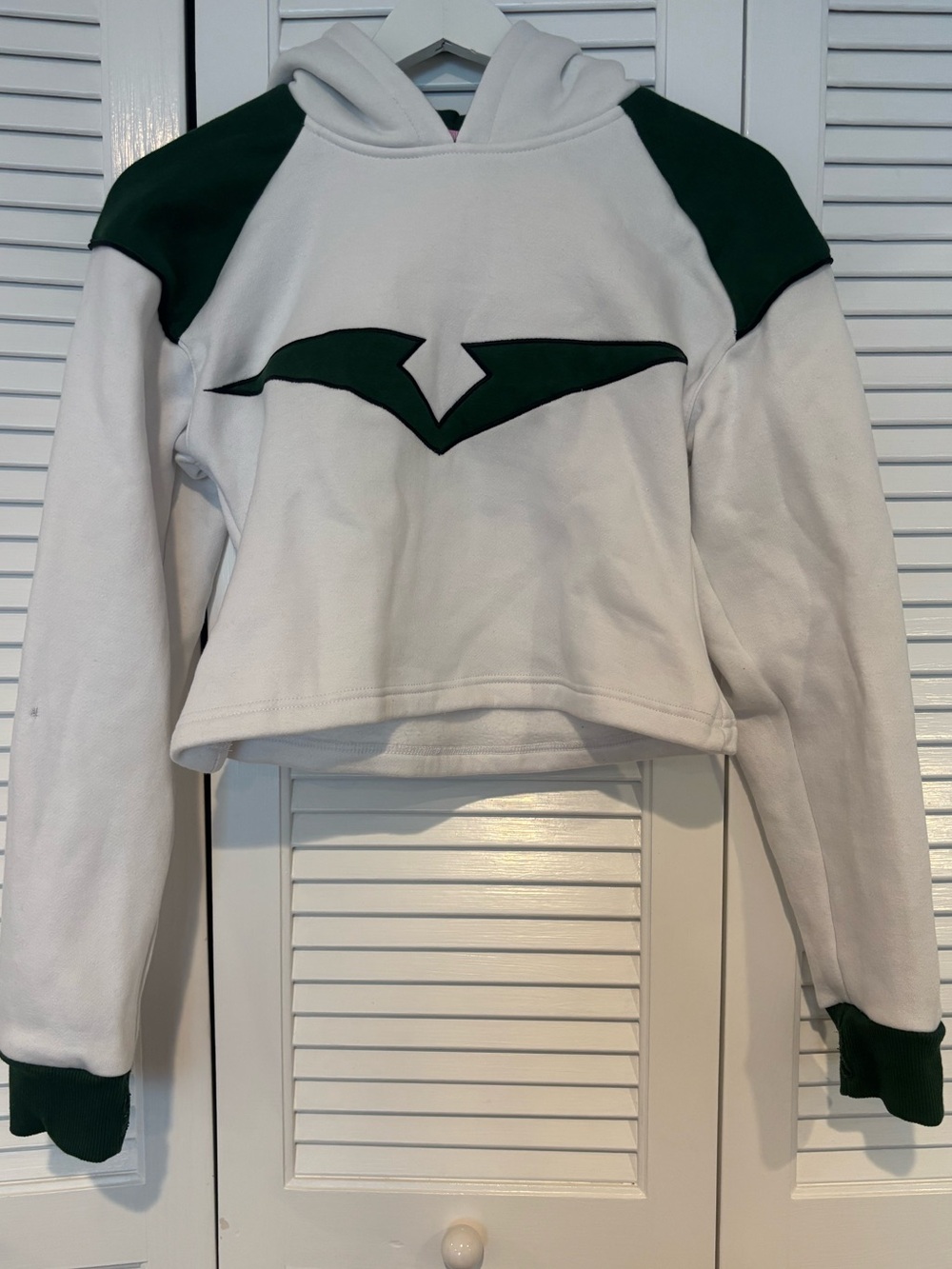Voltron Green Lion Paladin Cropped Hoodie